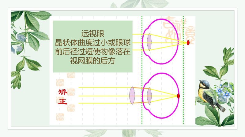 Document 466618ae-9e7d-486f-89d4-d4323688287f