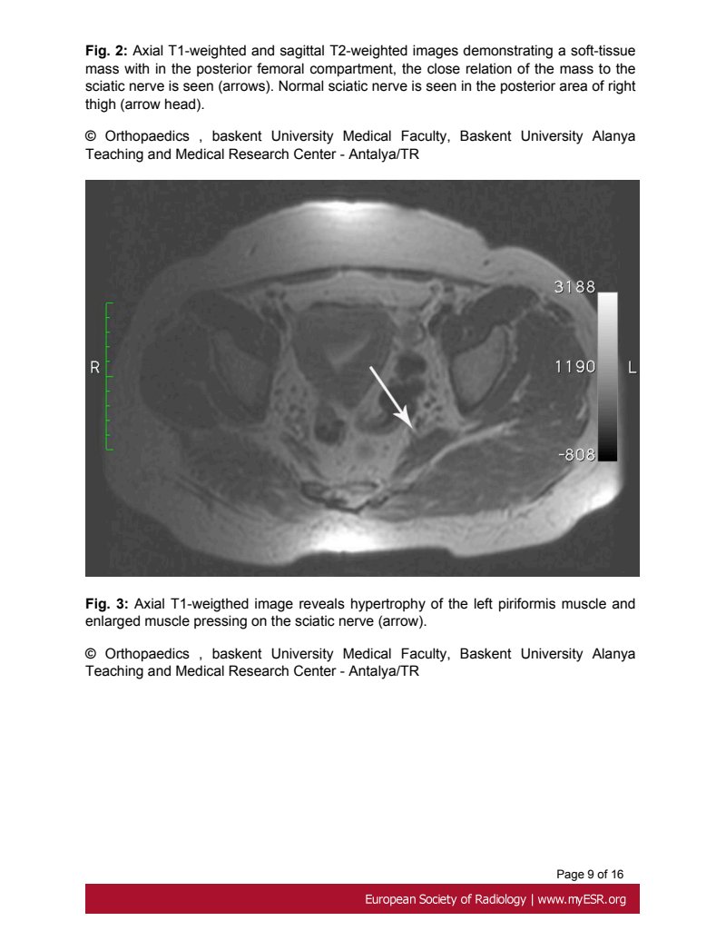 Document 5e686290-6b79-4737-aeae-8316d33acd48