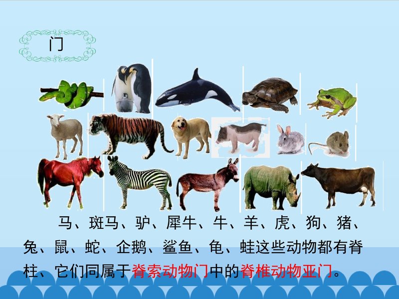 Document 6c12c0f1-16f7-40ea-b9b0-4141fc7bff2c