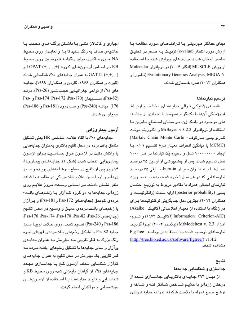 Document 739717ad-fe9c-44d1-a5e0-b4f6cb5c38ba